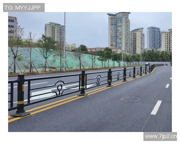 交通护栏在城市道路安全中的关键作用与未来发展趋势分析